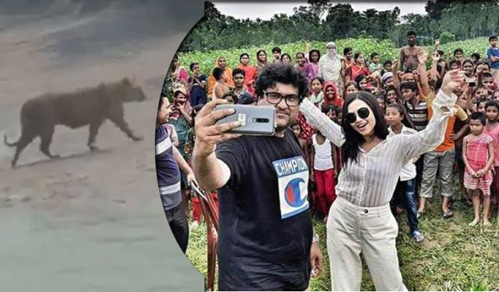 শুটিং লোকেশনে বাঘ! শুটিং লোকেশনে বাঘ!
