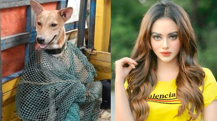 আমি ডাকলেই কুকুরগুলো চলে আসে: তমা মির্জা