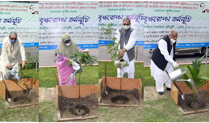 সংসদ ভবন চত্বরে চারারোপণ করলেন ৬ এমপি সংসদ ভবন চত্বরে চারারোপণ করলেন ৬ এমপি