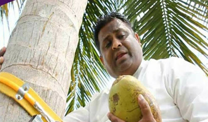 ভাষণ দিতে নারিকেল গাছে উঠলেন মন্ত্রী ভাষণ দিতে নারিকেল গাছে উঠলেন মন্ত্রী