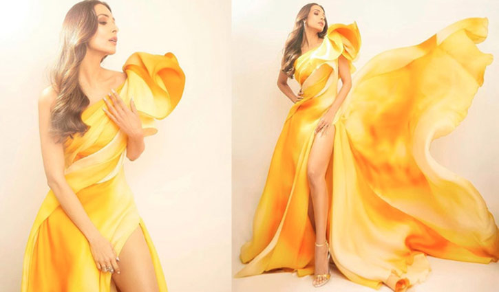 পোশাক নিয়ে কটাক্ষের শিকার মালাইকা