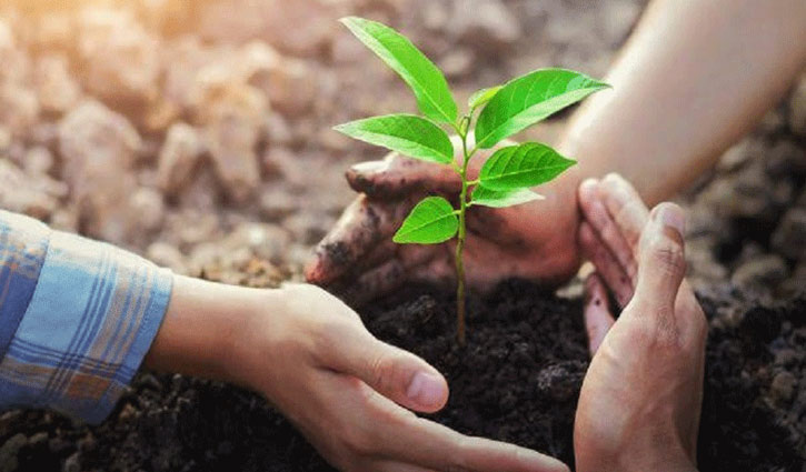 স্বপ্নবাজ