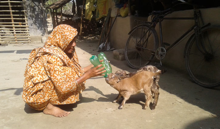 মায়ের ভালোবাসা