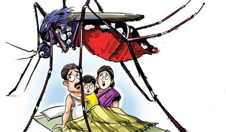 শীতের পর বেড়েছে মশার উৎপাত শীতের পর বেড়েছে মশার উৎপাত