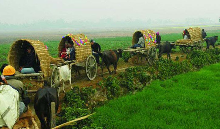 ও কী গাড়িয়াল ভাই...