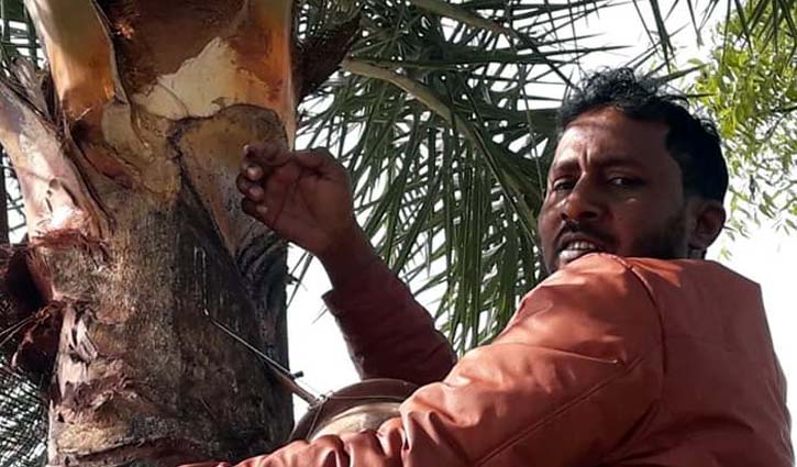মিষ্টি রসে বিষ মিশিয়ে পাখি শিকার মিষ্টি রসে বিষ মিশিয়ে পাখি শিকার