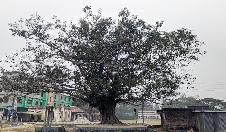 নজরুল বিশ্ববিদ্যালয়ে ঠাঁই হয়নি নজরুল স্মৃতির