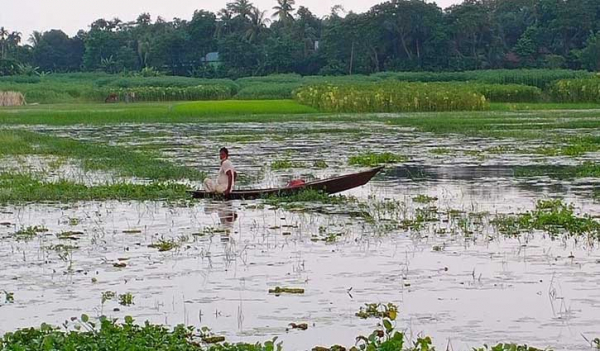 কালীগঞ্জে বিলের পানিতে ডুবে শিশুসহ দু’জনের মৃত্যু