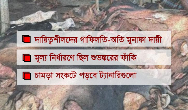 পচন ঠেকানো গেলো না ৩০ ভাগ চামড়ার পচন ঠেকানো গেলো না ৩০ ভাগ চামড়ার