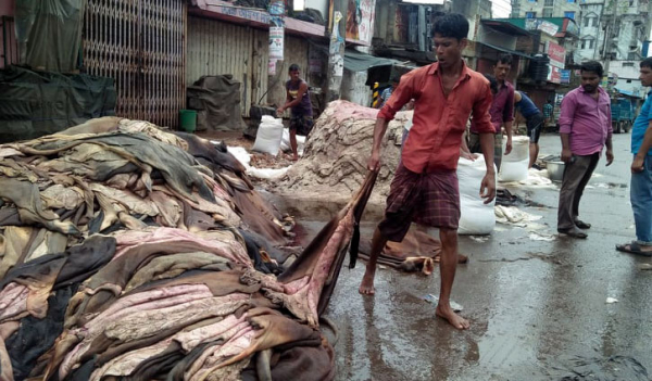 চট্টগ্রামে ১৫ হাজার গরুর চামড়া ডাম্পিং চট্টগ্রামে ১৫ হাজার গরুর চামড়া ডাম্পিং