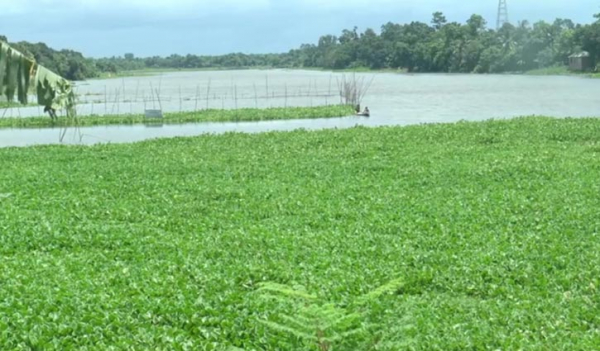 কোটি টাকার মাছ লুট, সর্বস্বান্ত মৎস্যজীবীরা কোটি টাকার মাছ লুট, সর্বস্বান্ত মৎস্যজীবীরা