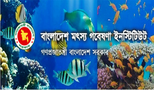 ২৯ জনকে চাকরি দেবে বাংলাদেশ মৎস্য গবেষণা ইনস্টিটিউট ২৯ জনকে চাকরি দেবে বাংলাদেশ মৎস্য গবেষণা ইনস্টিটিউট