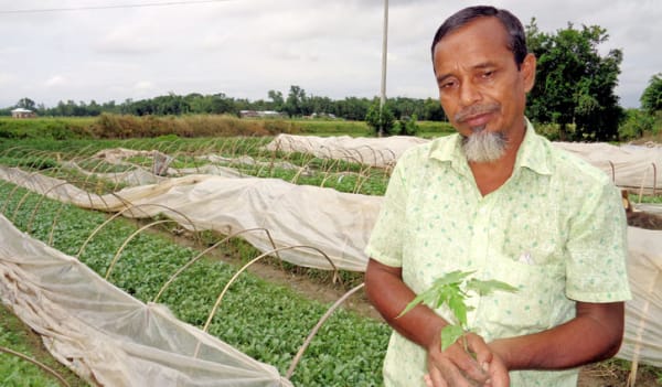 শীতকালীন আগাম সবজির নার্সারি: উপকৃত হাজারো কৃষক শীতকালীন আগাম সবজির নার্সারি: উপকৃত হাজারো কৃষক