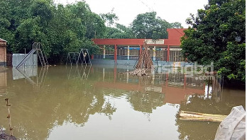 পুকুর নয়, এটি স্কুলের মাঠ পুকুর নয়, এটি স্কুলের মাঠ