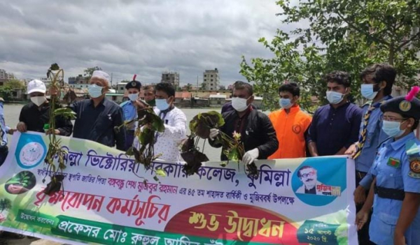 শোক দিবসে শাপলা রোপন শোক দিবসে শাপলা রোপন