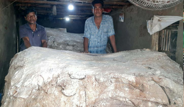 চামড়া নিয়ে মহাজনের অপেক্ষায় সান্তাহারের আড়তদাররা চামড়া নিয়ে মহাজনের অপেক্ষায় সান্তাহারের আড়তদাররা