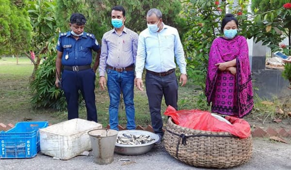 পোনামাছ বিক্রির দায়ে ২ মাছ বিক্রেতাকে কারাদণ্ড পোনামাছ বিক্রির দায়ে ২ মাছ বিক্রেতাকে কারাদণ্ড