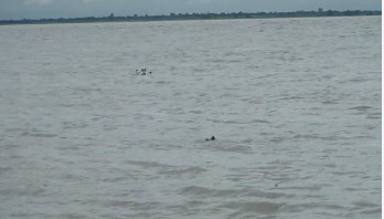 আরিচা যমুনা পয়েন্টে পানি ২৫ সেন্টিমিটার বিপৎসীমার উপরে আরিচা যমুনা পয়েন্টে পানি ২৫ সেন্টিমিটার বিপৎসীমার উপরে