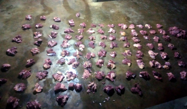 কোরবানির মাংস ভাগাভাগি নিয়ে তুলকালাম কোরবানির মাংস ভাগাভাগি নিয়ে তুলকালাম