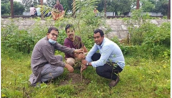 নরসিংদীতে মাসব্যাপী বৃক্ষরোপণ কর্মসূচি শুরু নরসিংদীতে মাসব্যাপী বৃক্ষরোপণ কর্মসূচি শুরু