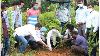 কুবি ছাত্রলীগের বৃক্ষরোপণ কুবি ছাত্রলীগের বৃক্ষরোপণ