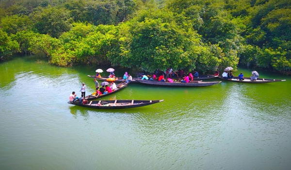 প্রকৃতির সুধা পানে রাতারগুল প্রকৃতির সুধা পানে রাতারগুল