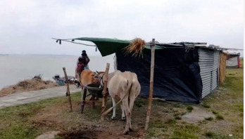 যমুনার পানি বিপৎসীমার ওপরে যমুনার পানি বিপৎসীমার ওপরে