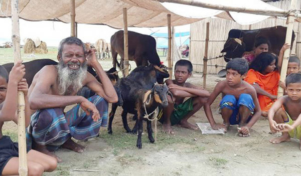 যমুনার পানি কমছে, বাড়ছে নদীভাঙন-রোগ যমুনার পানি কমছে, বাড়ছে নদীভাঙন-রোগ