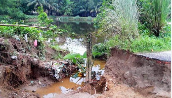 রানিশংকৈলে বৃষ্টিতে সড়কে গর্ত: প্রায় বিচ্ছিন্ন ৫০০ পরিবার রানিশংকৈলে বৃষ্টিতে সড়কে গর্ত: প্রায় বিচ্ছিন্ন ৫০০ পরিবার