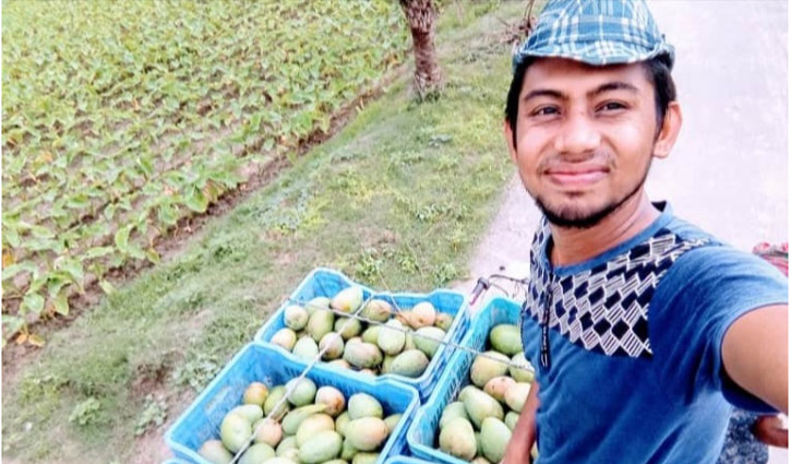 আম ব্যবসায় সাফল্য: বড় উদ্যোক্তা হওয়ার স্বপ্ন বাশারের