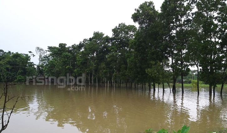 ফের বন্যার আশঙ্কা পানি উন্নয়ন বোর্ডের ফের বন্যার আশঙ্কা পানি উন্নয়ন বোর্ডের