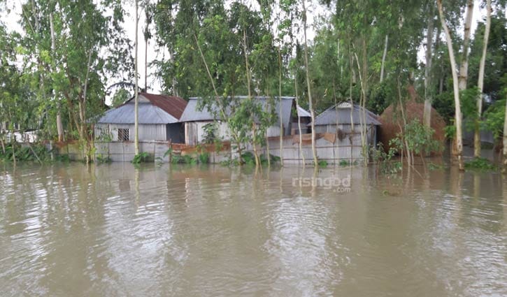 কুড়িগ্রামে ধরলার পানি বিপৎসীমার ১০০ সেন্টিমিটার ওপরে কুড়িগ্রামে ধরলার পানি বিপৎসীমার ১০০ সেন্টিমিটার ওপরে