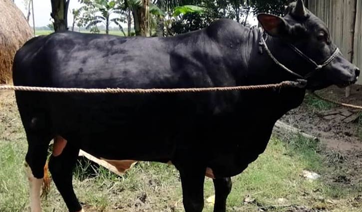 মায়াবতীর সঙ্গে ছাগল ফ্রি মায়াবতীর সঙ্গে ছাগল ফ্রি