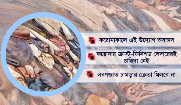 কাঁচা চামড়া রপ্তানি নিয়ে শঙ্কায় ব্যবসায়ীরা কাঁচা চামড়া রপ্তানি নিয়ে শঙ্কায় ব্যবসায়ীরা