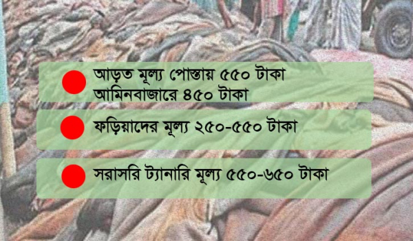 চামড়ার দাম কমলো অর্ধেক, বাণিজ্য মন্ত্রণালয়কে দুষছেন ব্যবসায়ীরা চামড়ার দাম কমলো অর্ধেক, বাণিজ্য মন্ত্রণালয়কে দুষছেন ব্যবসায়ীরা