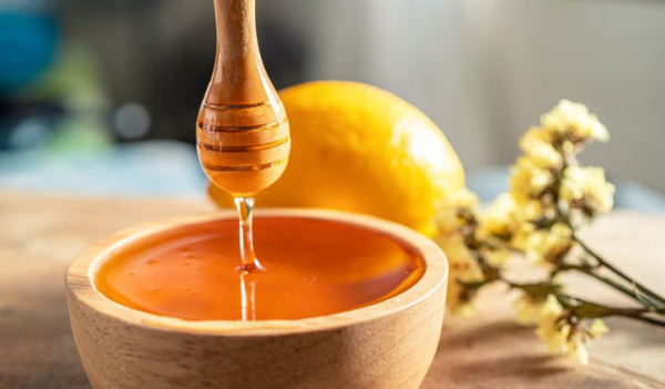 অ্যান্টিবায়োটিকের চেয়ে মধু বেশি কার্যকরী: দাবি বিজ্ঞানীদের