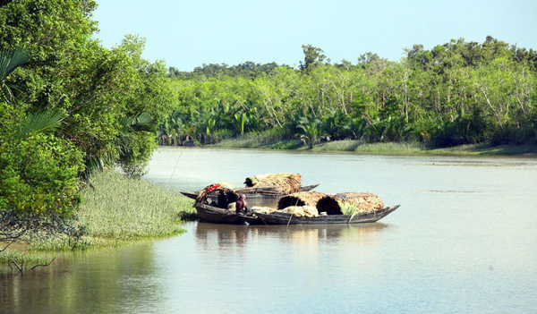 সুন্দরবনে অবৈধভাবে মাছ ধরায় ৬ জেলে গ্রেপ্তার সুন্দরবনে অবৈধভাবে মাছ ধরায় ৬ জেলে গ্রেপ্তার