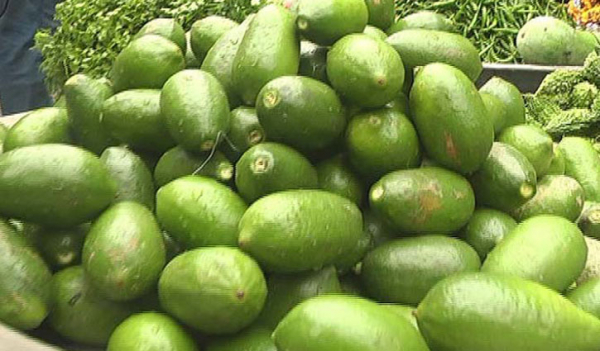 লেবু (ফাইল ছবি) লেবু (ফাইল ছবি)