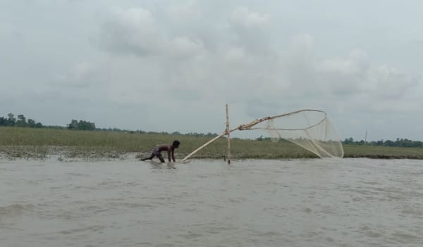 চাকের জালে সচল সংসারের চাকা চাকের জালে সচল সংসারের চাকা
