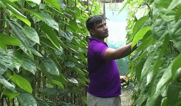 ৩ বছর চেষ্টার পর অবশেষে সফল ৩ বছর চেষ্টার পর অবশেষে সফল