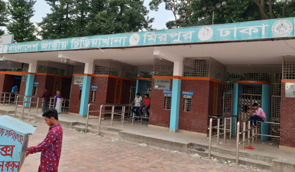 চিড়িয়াখানায় বেড়াতে এসে ফিরে যান অনেক দর্শনার্থী চিড়িয়াখানায় বেড়াতে এসে ফিরে যান অনেক দর্শনার্থী