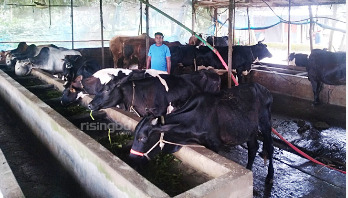 স্বপ্নভঙ্গের শঙ্কায় গাজীপুরের পশু খামারিরা স্বপ্নভঙ্গের শঙ্কায় গাজীপুরের পশু খামারিরা