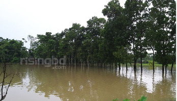 বন্যাদুর্গত সাড়ে ৬ হাজার পরিবারকে ডব্লিউএফপি’র সহায়তা বন্যাদুর্গত সাড়ে ৬ হাজার পরিবারকে ডব্লিউএফপি’র সহায়তা