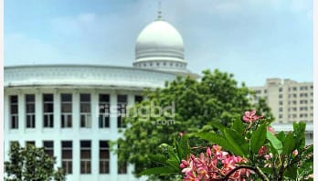 পুলিশি নির্যাতনে কিডনি নষ্ট: বিচার বিভাগীয় তদন্তের নির্দেশ পুলিশি নির্যাতনে কিডনি নষ্ট: বিচার বিভাগীয় তদন্তের নির্দেশ