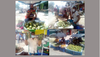 তারা এখন ফল বিক্রেতা