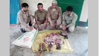 বাগেরহাটে ১৫ কেজি হরিণের মাংস উদ্ধার বাগেরহাটে ১৫ কেজি হরিণের মাংস উদ্ধার