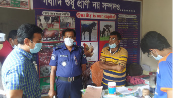 বাগেরহাটে গবাদিপশুর বিপুল পরিমাণ নকল ওষুধ জব্দ বাগেরহাটে গবাদিপশুর বিপুল পরিমাণ নকল ওষুধ জব্দ