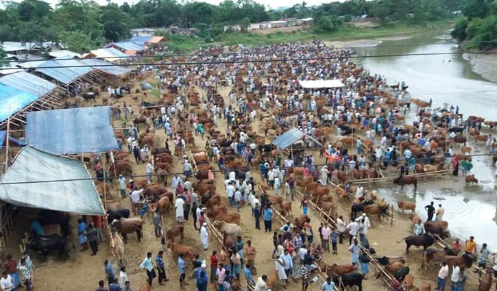 স্বাস্থ্যঝুঁকি নিয়েই চট্টগ্রাম নগরে বসবে ৭টি গরুর হাট স্বাস্থ্যঝুঁকি নিয়েই চট্টগ্রাম নগরে বসবে ৭টি গরুর হাট