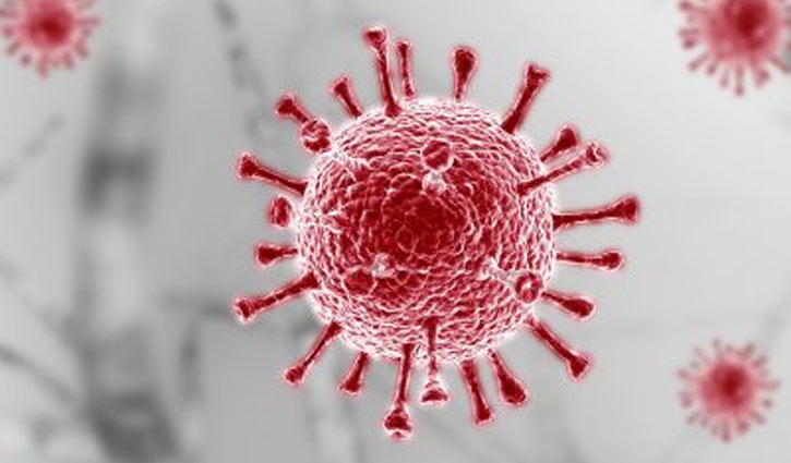 Tangail coronavirus cases reach 296