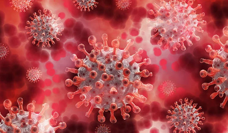 Chuadanga reports 11 new Covid-19 cases